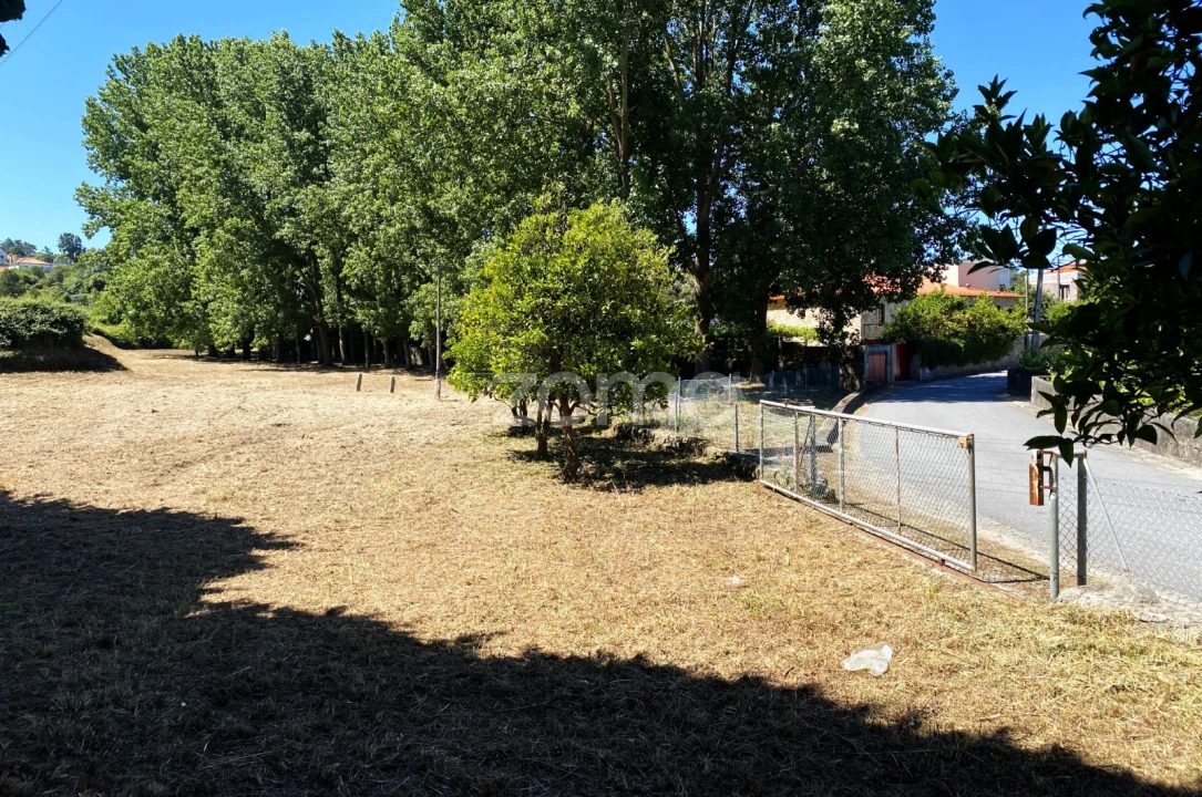 Terreno para Venda em Antas Foto 5