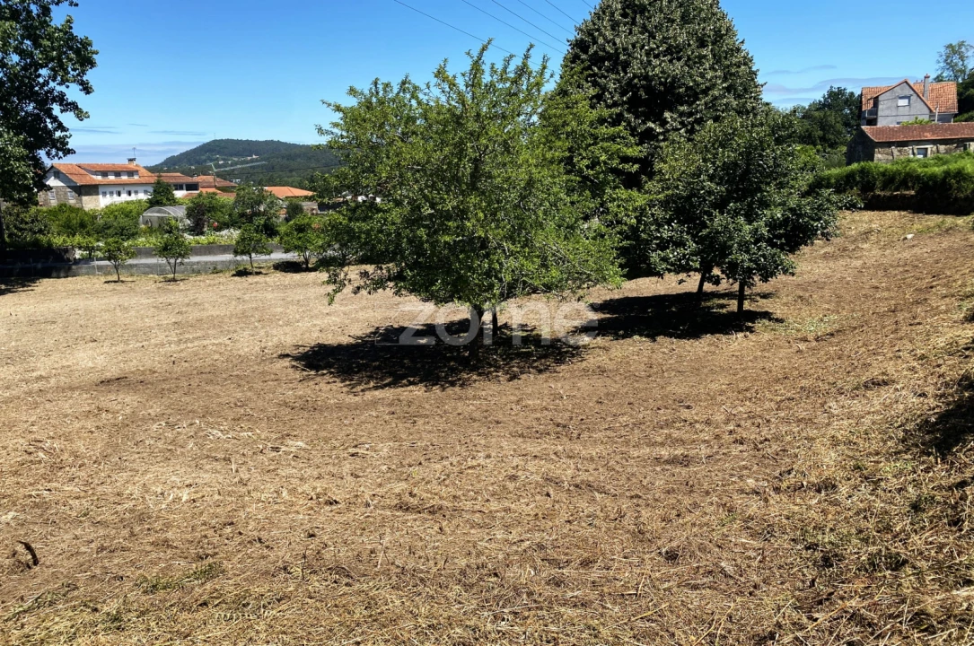 Terreno para Venda em Antas Foto 2
