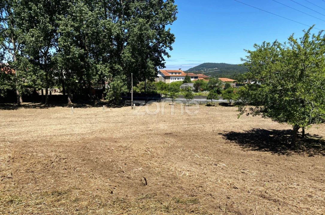 Terreno para Venda em Antas Foto 8