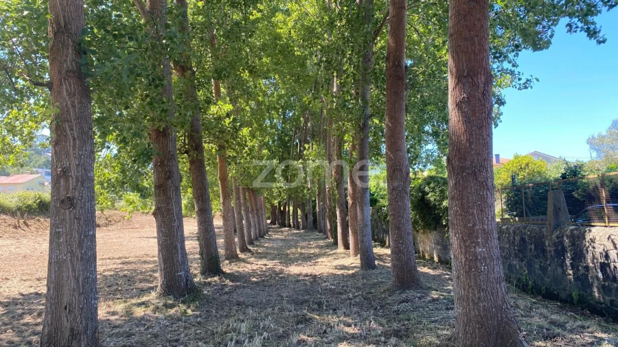 Terreno para Venda em Antas