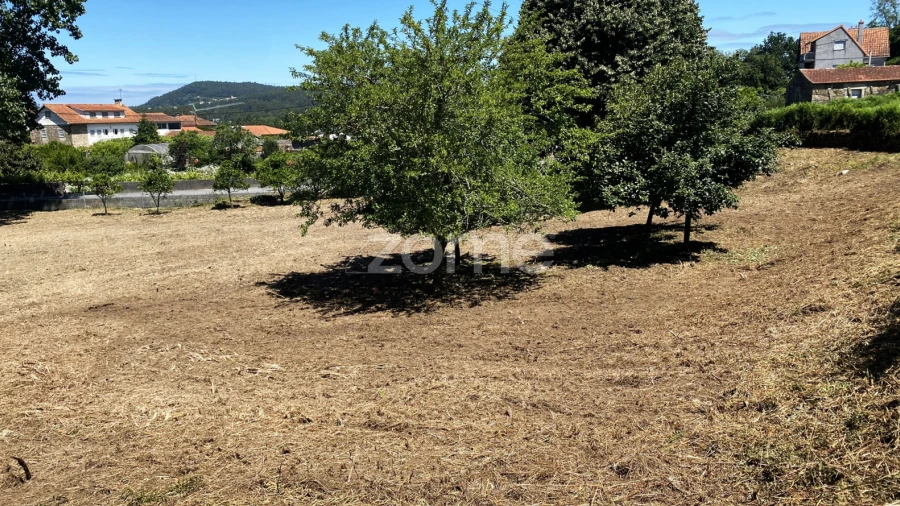 Terreno para Venda em Antas