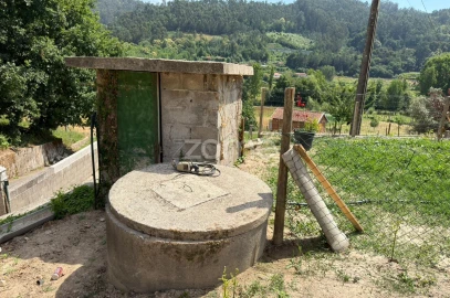 Terreno para Venda em Urro