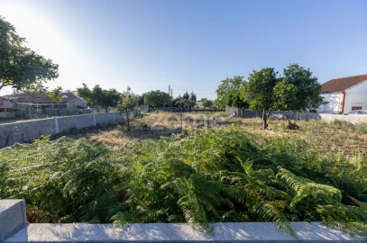 Terreno para Venda em São Martinho do Bispo e Ribeira de Frades