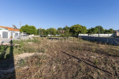 Terreno para Venda em São Martinho do Bispo e Ribeira de Frades