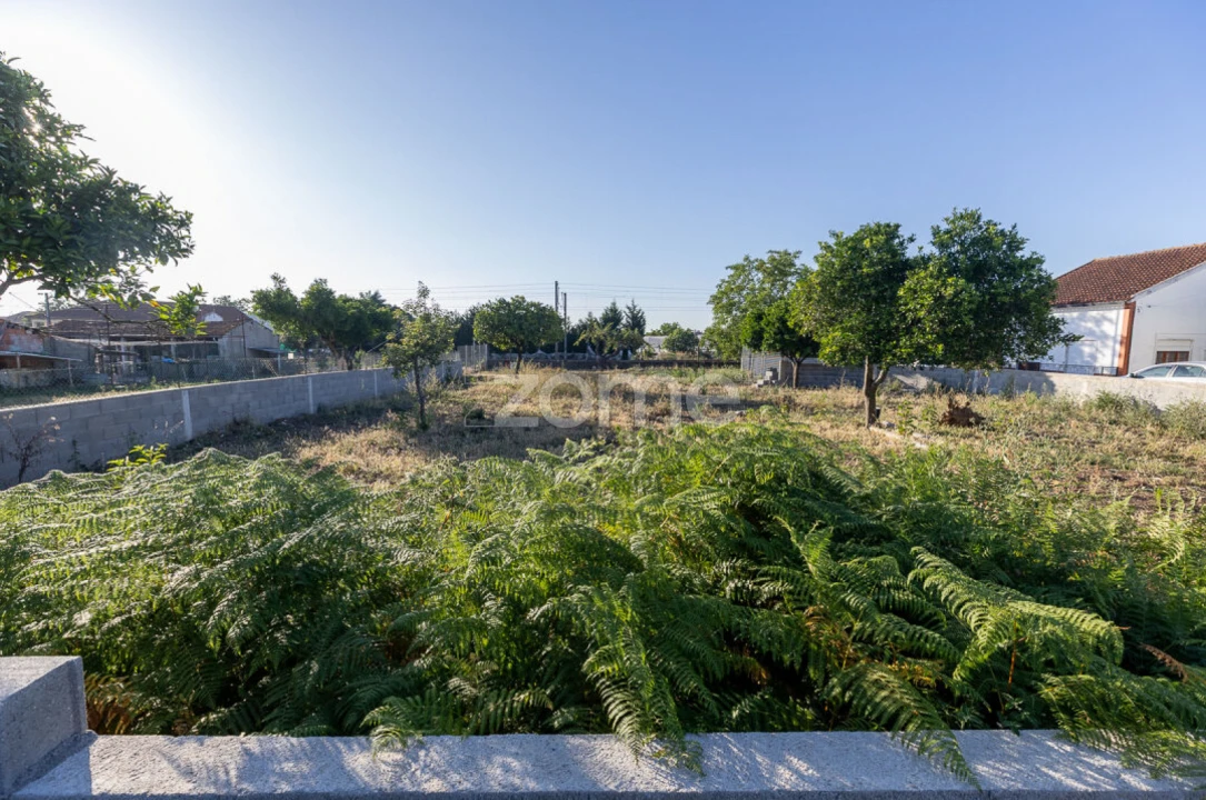 Terreno para Venda em São Martinho do Bispo e Ribeira de Frades Foto 7