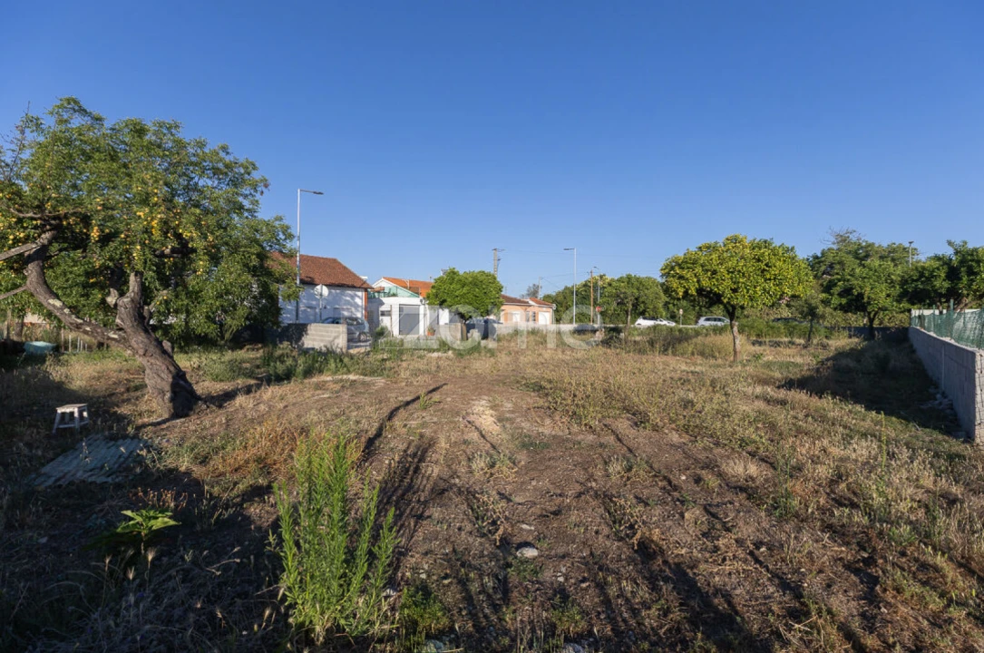 Terreno para Venda em São Martinho do Bispo e Ribeira de Frades Foto 8