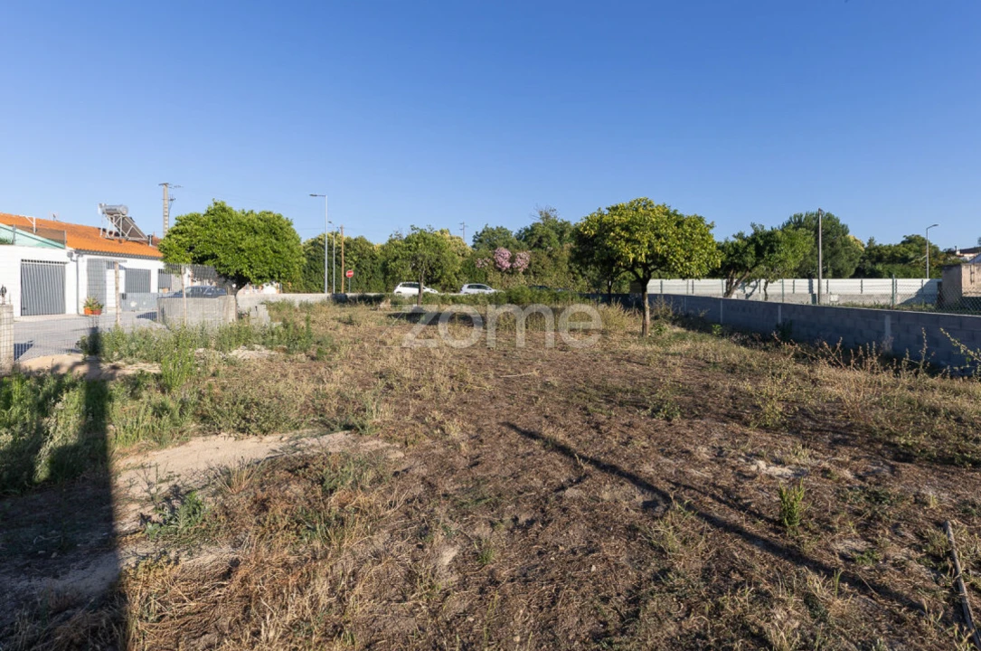 Terreno para Venda em São Martinho do Bispo e Ribeira de Frades Foto 9
