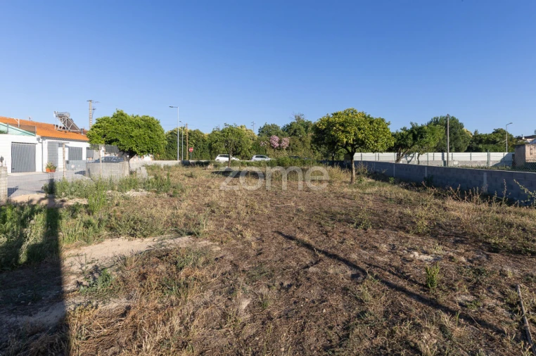 Terreno para Venda em São Martinho do Bispo e Ribeira de Frades Foto 9