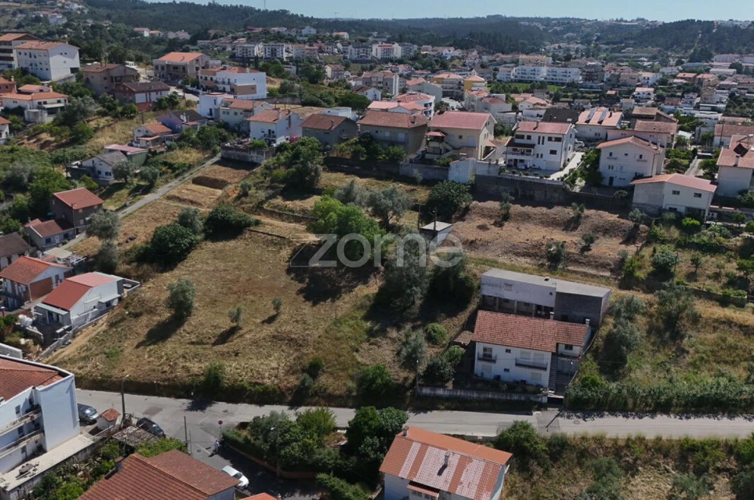 Terreno para Venda em Santa Clara e Castelo Viegas Foto 15