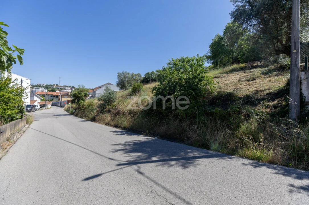 Terreno para Venda em Santa Clara e Castelo Viegas Foto 5