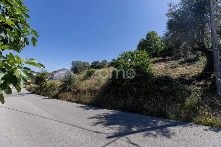 Terreno para Venda em Santa Clara e Castelo Viegas Foto 4