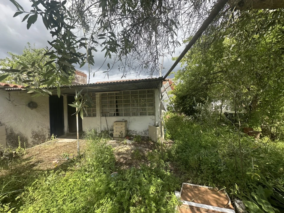 Moradia T4 para Venda em Pego Foto 6