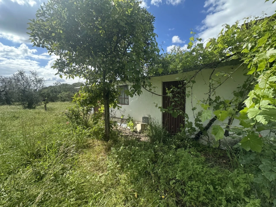 Moradia T4 para Venda em Pego Foto 7