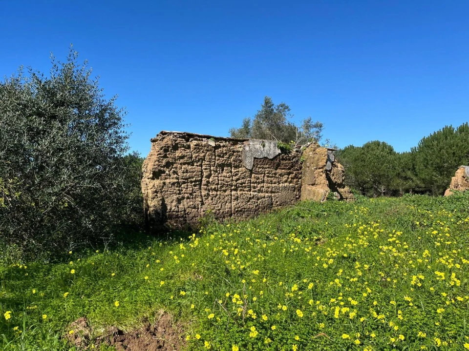 Terreno para Venda em Grândola e Santa Margarida da Serra Foto 4