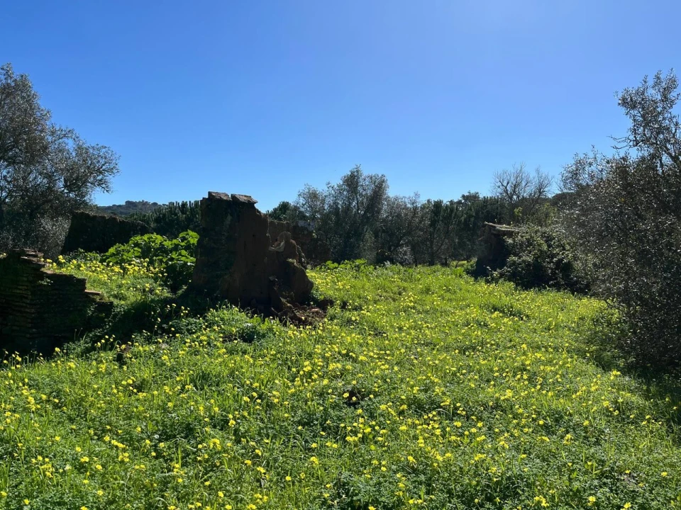 Terreno para Venda em Grândola e Santa Margarida da Serra Foto 5