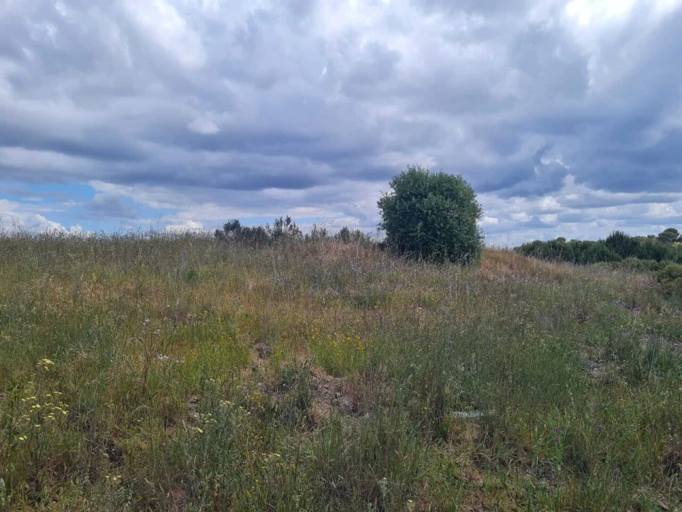 Terreno para Venda em Grândola e Santa Margarida da Serra Foto 7