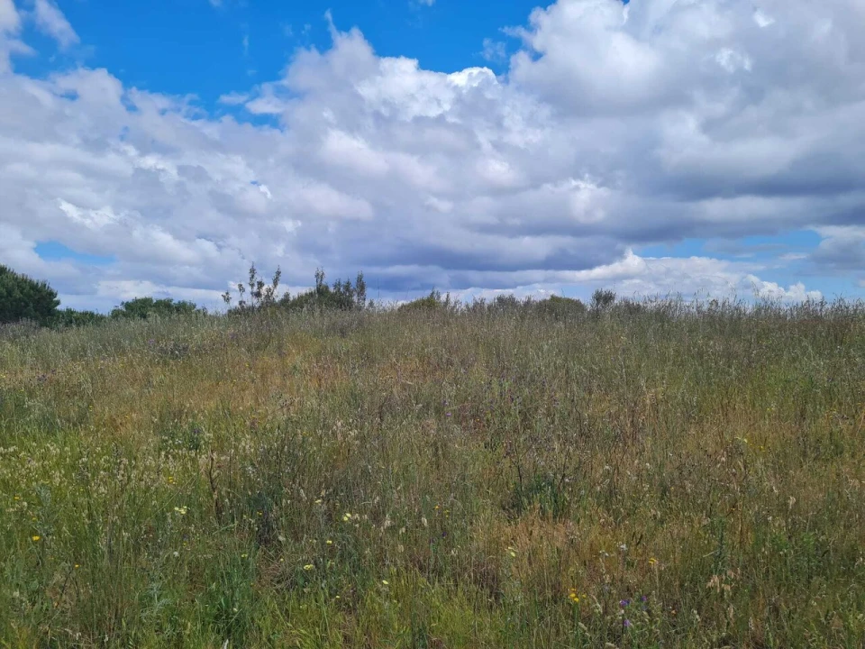 Terreno para Venda em Grândola e Santa Margarida da Serra Foto 11