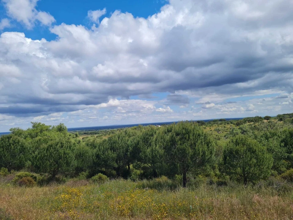 Terreno para Venda em Grândola e Santa Margarida da Serra Foto 12