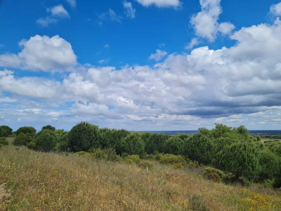 Terreno para Venda em Grândola e Santa Margarida da Serra Foto 14