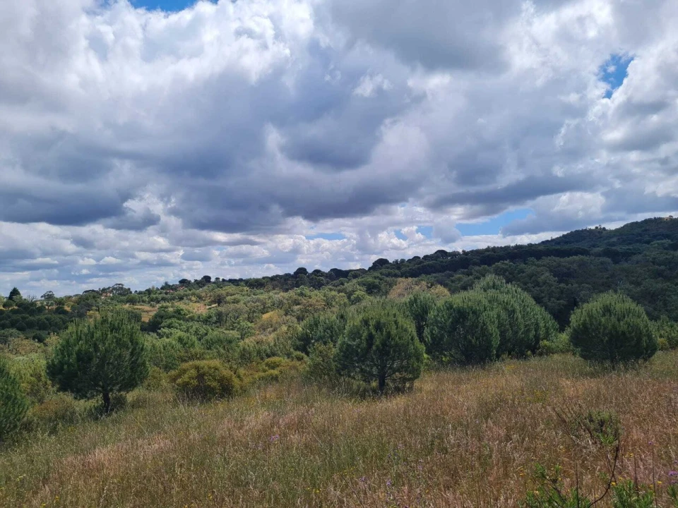 Terreno para Venda em Grândola e Santa Margarida da Serra Foto 19