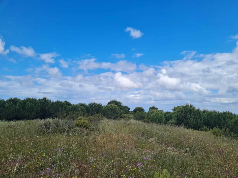 Terreno para Venda em Grândola e Santa Margarida da Serra Foto 21