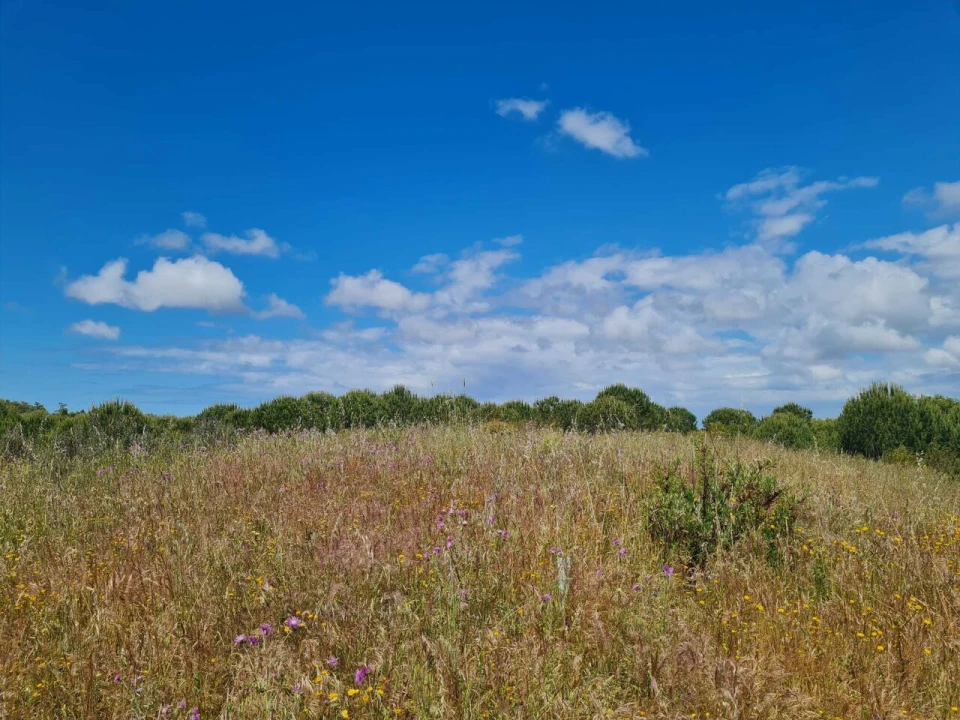 Terreno para Venda em Grândola e Santa Margarida da Serra Foto 27
