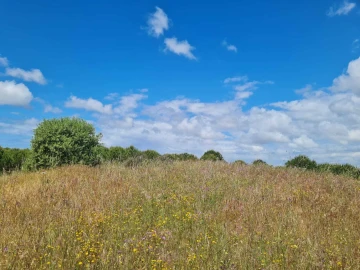 Terreno para Venda em Grândola e Santa Margarida da Serra