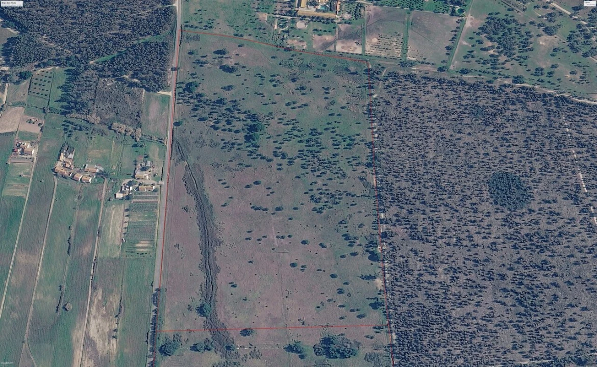 Terreno para Venda em Canha Foto 2
