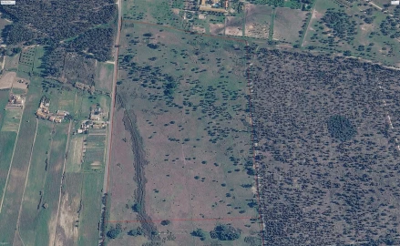 Terreno para Venda em Canha