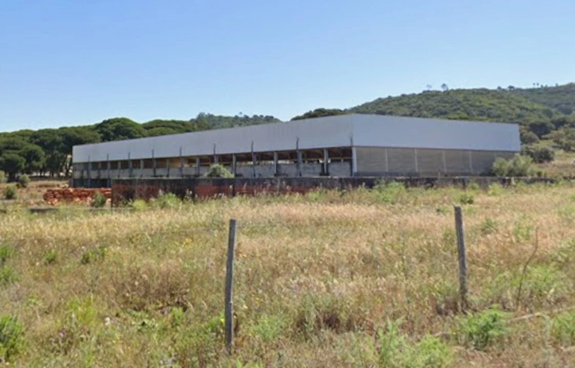 Terreno para Venda em Azeitão (São Lourenço e São Simão) Foto 13