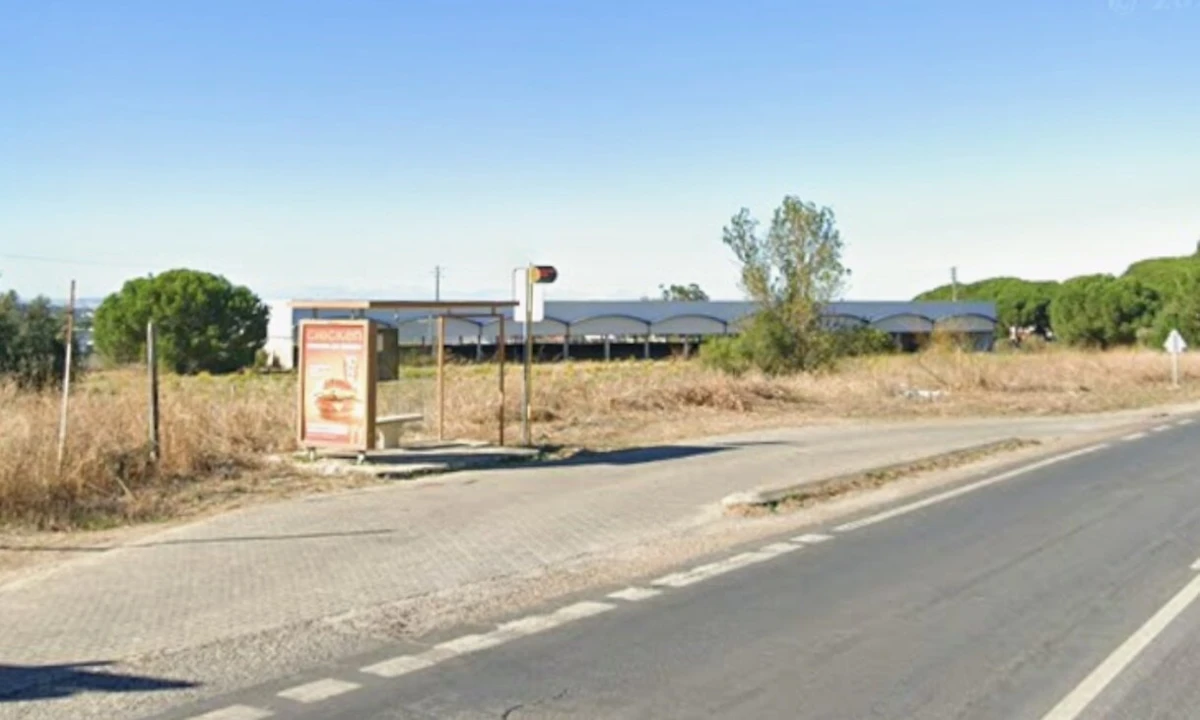 Terreno para Venda em Azeitão (São Lourenço e São Simão) Foto 14