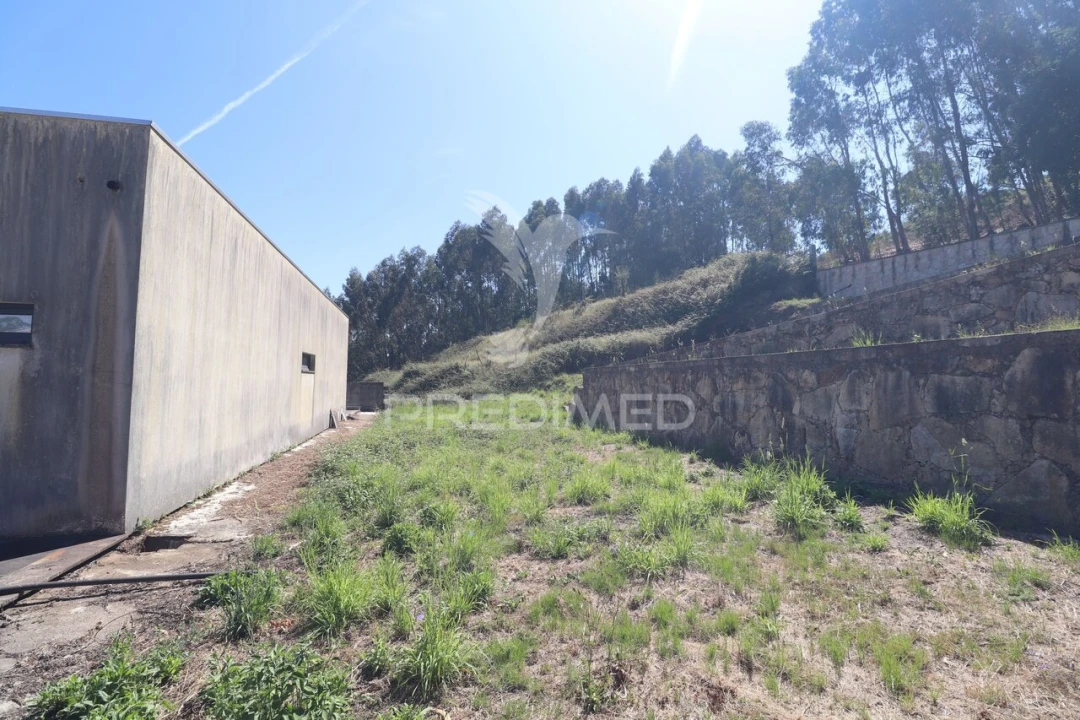 Moradia T4 para Venda em Carreiras (São Miguel) e Carreiras (Santiago) Foto 36