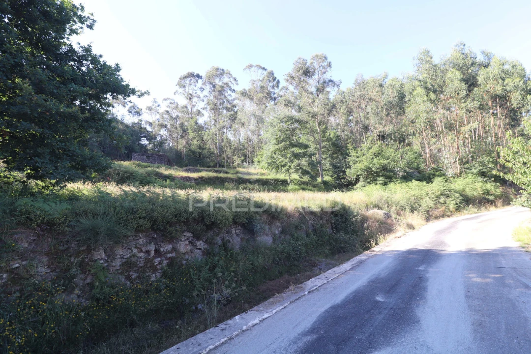 Terreno para Venda em Ribeira do Neiva Foto 23