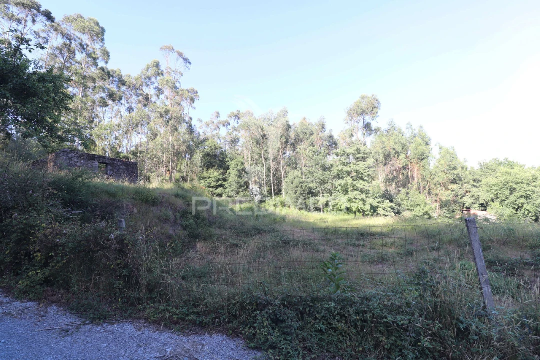 Terreno para Venda em Ribeira do Neiva Foto 17