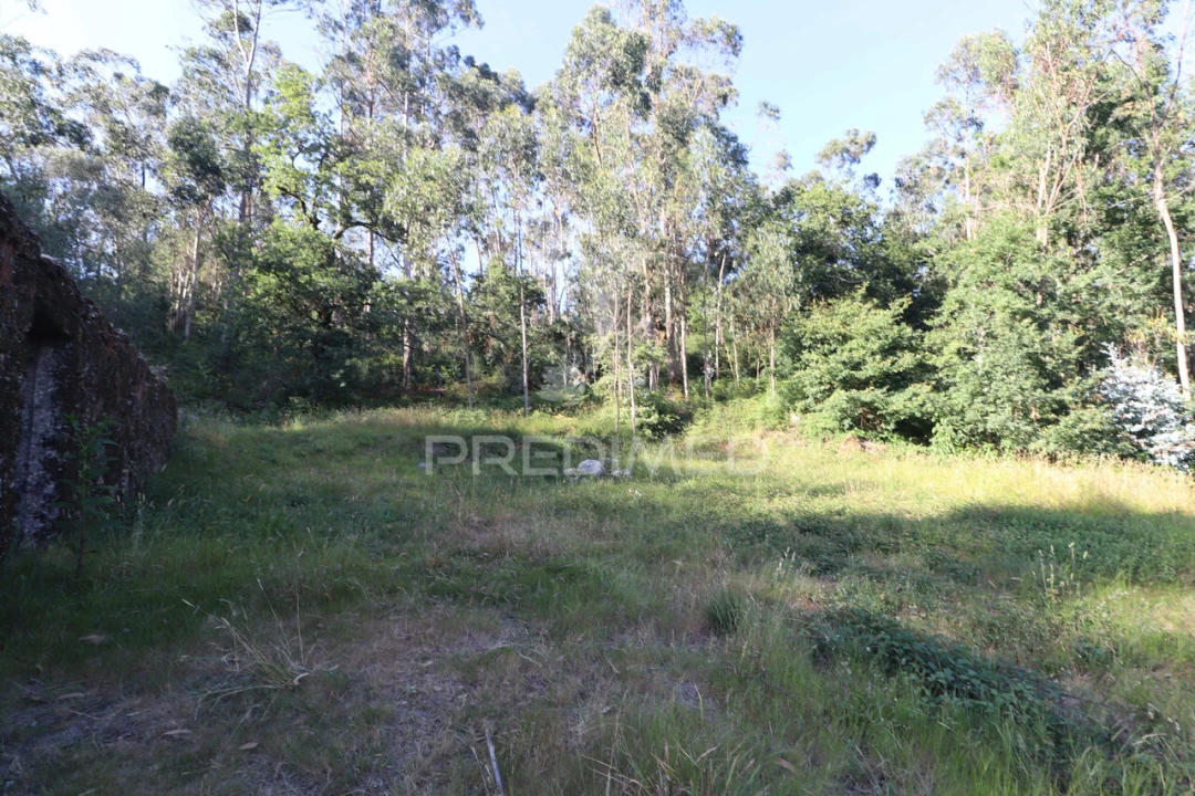 Terreno para Venda em Ribeira do Neiva Foto 15