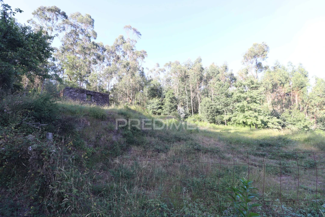 Terreno para Venda em Ribeira do Neiva Foto 6