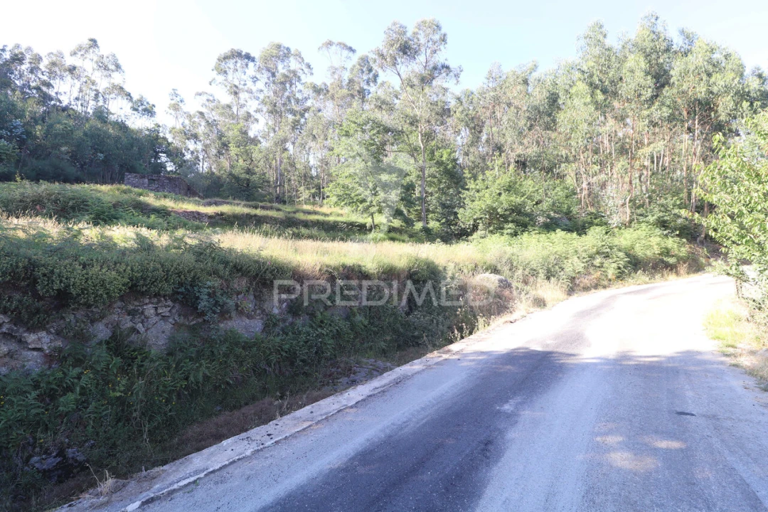 Terreno para Venda em Ribeira do Neiva Foto 22