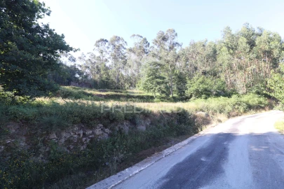 Terreno para Venda em Ribeira do Neiva