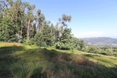Terreno para Venda em Ribeira do Neiva