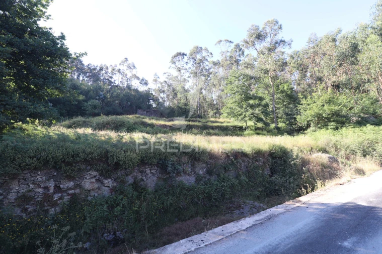 Terreno para Venda em Ribeira do Neiva Foto 19