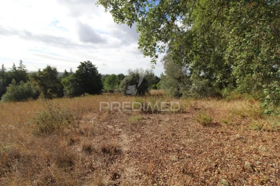 Terreno para Venda em Brogueira, Parceiros de Igreja e Alcorochel