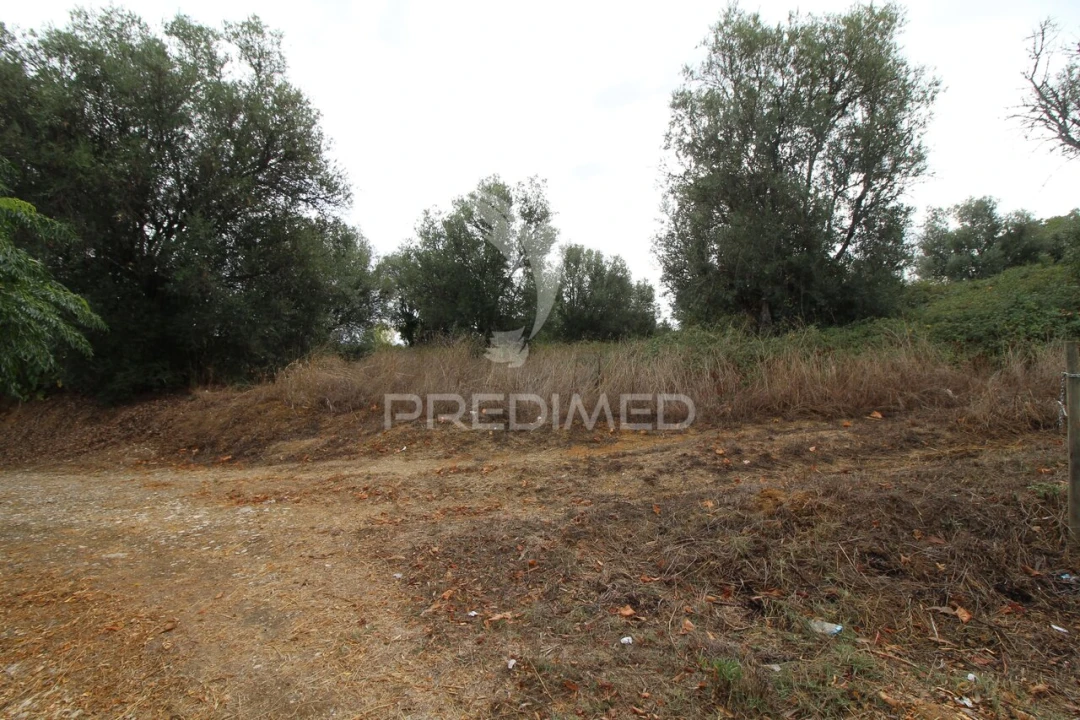 Terreno para Venda em Brogueira, Parceiros de Igreja e Alcorochel Foto 12