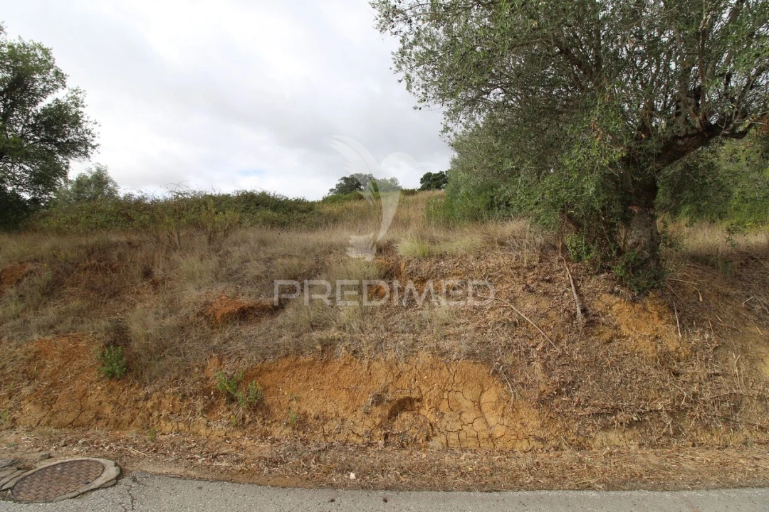 Terreno para Venda em Brogueira, Parceiros de Igreja e Alcorochel Foto 9