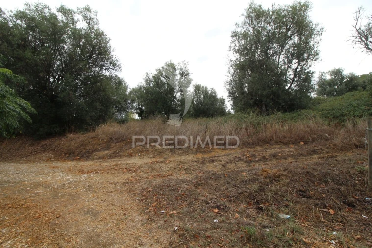 Terreno para Venda em Brogueira, Parceiros de Igreja e Alcorochel Foto 12