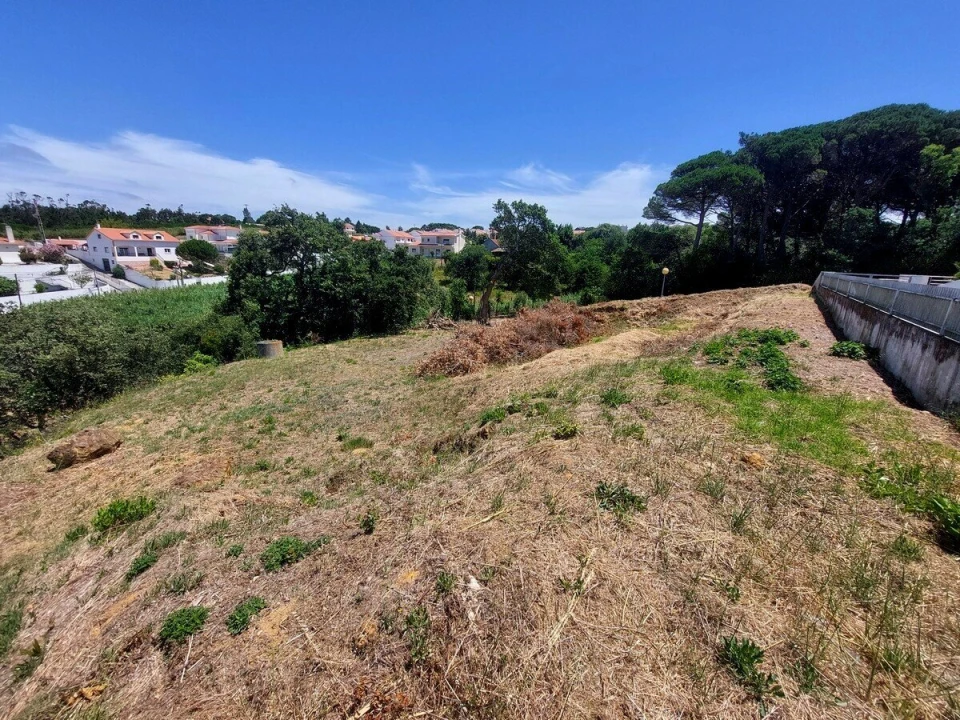 Terreno para Venda em Nossa Senhora do Pópulo, Coto e São Gregório Foto 5