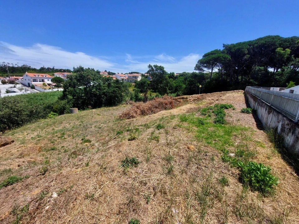 Terreno para Venda em Nossa Senhora do Pópulo, Coto e São Gregório Foto 7