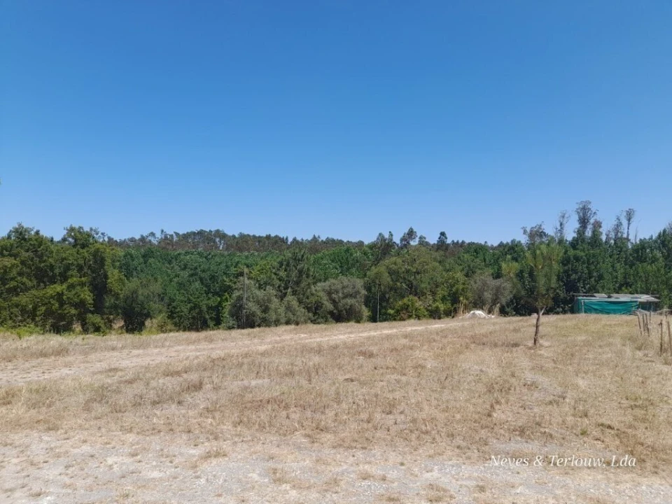 Terreno para Venda em Monte Redondo e Carreira Foto 4