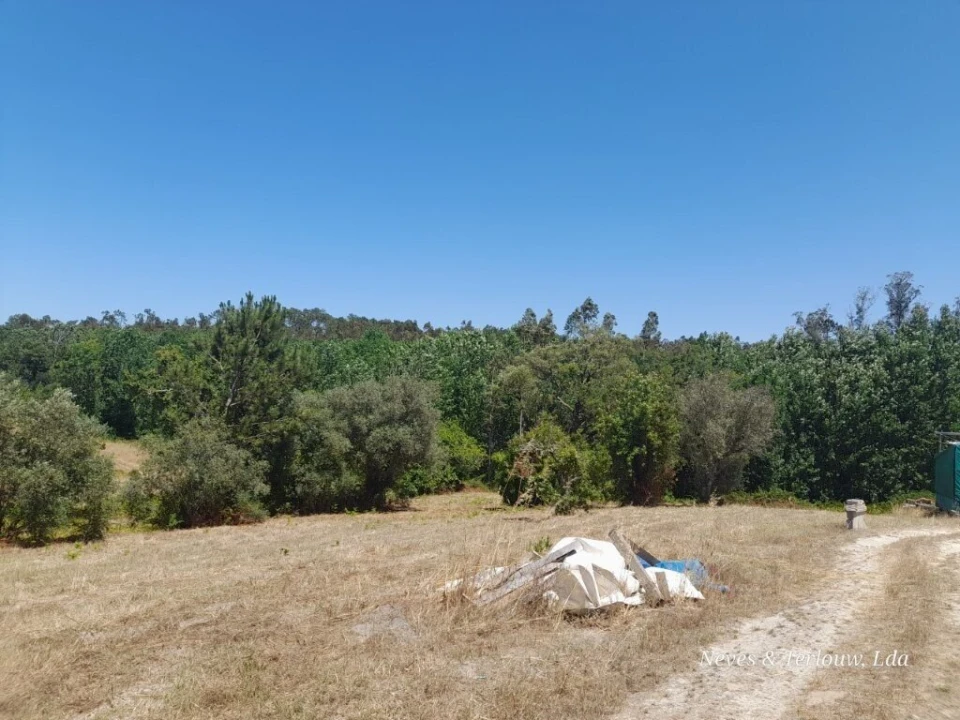 Terreno para Venda em Monte Redondo e Carreira Foto 8