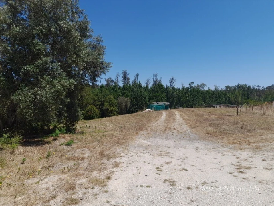 Terreno para Venda em Monte Redondo e Carreira Foto 3
