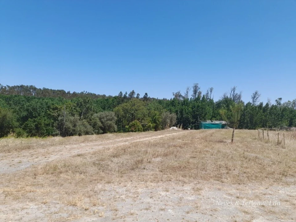 Terreno para Venda em Monte Redondo e Carreira Foto 2